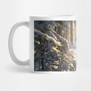 Sunshine in winter forest evening Mug